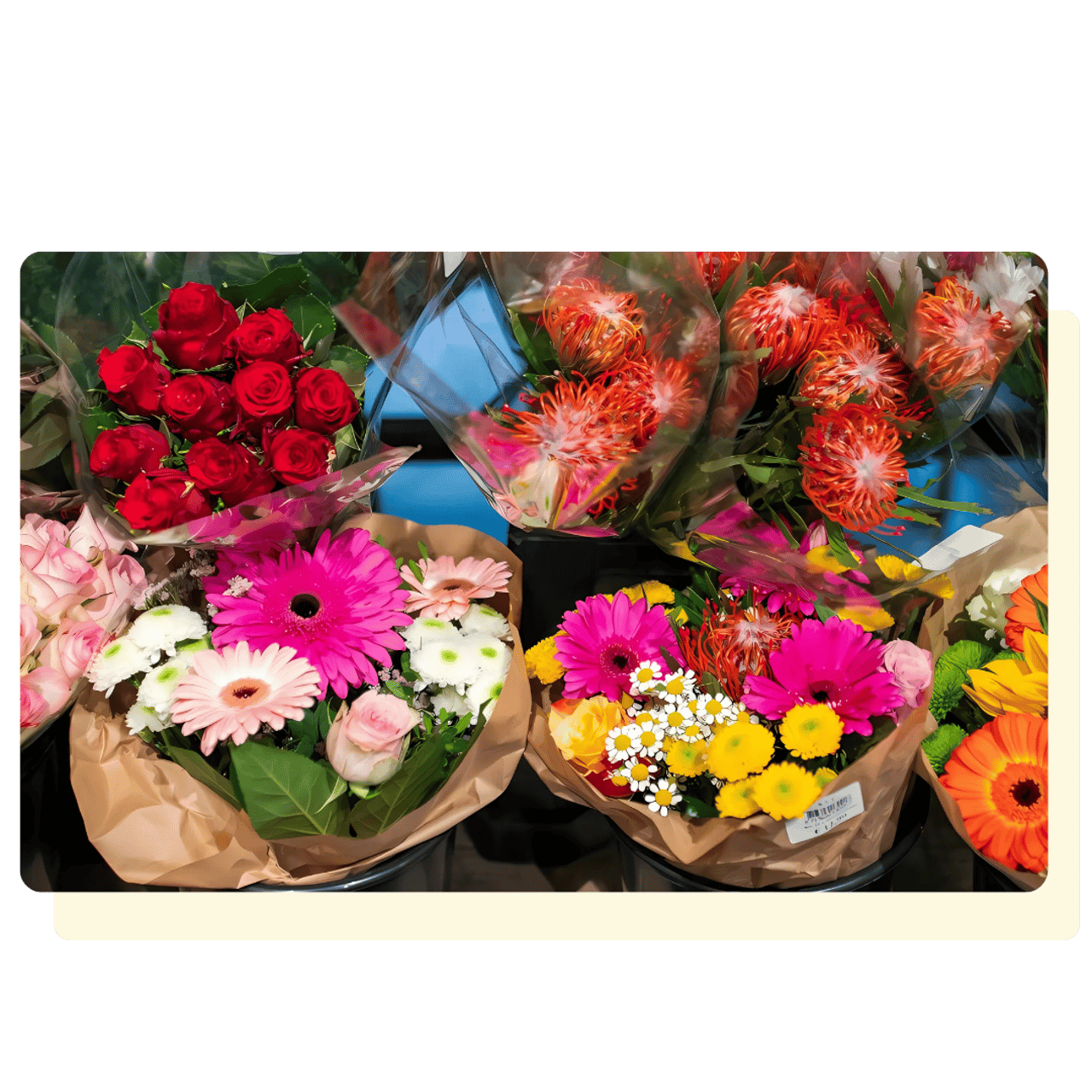 Mehrere Blumensträuße mit roten Rosen, pinken Gerbera, gelben Blumen und orangefarbenen Blüten.